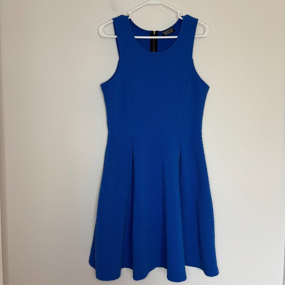 Papermoon Royal Blue Textured Fit-and-Flare Mini Dress